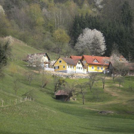 Buchschneider - Ferienhaus Maier - Landhof Schwarzautal Exterior photo