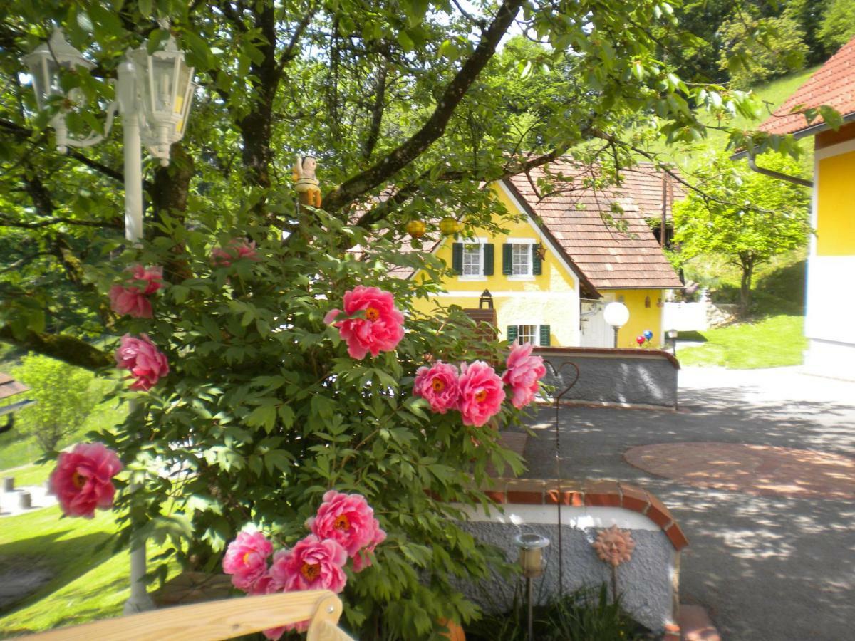 Buchschneider - Ferienhaus Maier - Landhof Schwarzautal Exterior photo